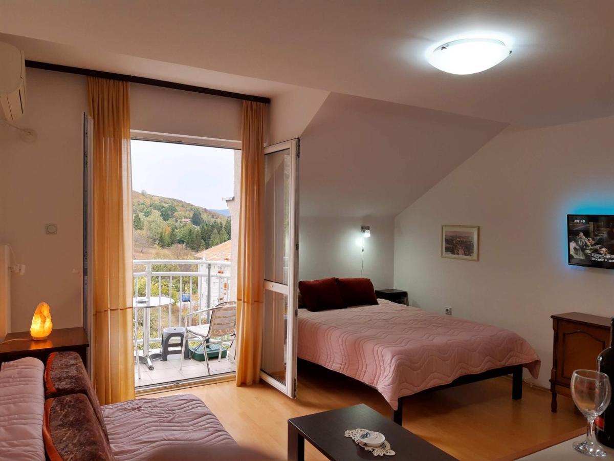 Sky Apartman Soko Banja Ngoại thất bức ảnh